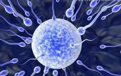 50岁女性在江苏省生殖中心做试管婴儿费用要多少？