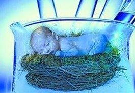 成功率多少？nic可做第三代试管婴儿吗？泰国nic做试管找玛祖？