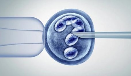 2026廊坊试管婴儿医院排名，附试管婴儿成功率和费用一览