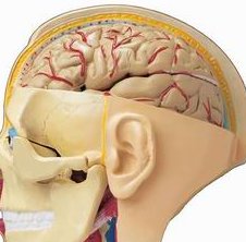 2026年广西哪里可以做三代试管？