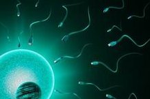 高龄三代试管婴儿成功率怎么样？试管婴儿能否妊娠受哪些因素影响？