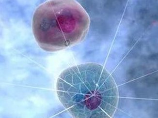 试管移植后舌头麻是血栓还是有其他症状？