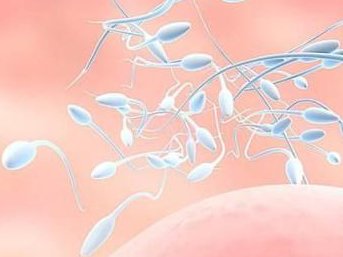 中山试管费用明细曝光，助你精打细算每一步