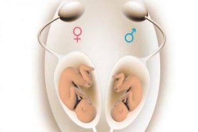 试管怀孕4周孕酮多少正常？试管怀孕期间如何判断胎儿是否健康？