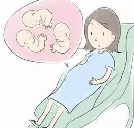 三天的鲜胚和培养五天的优质囊胚哪个会分化成两个胚胎？